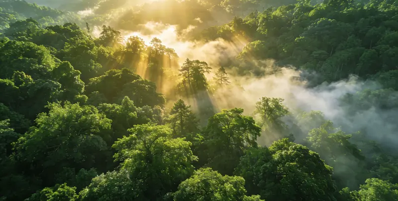 庆阳肺癌11基因检测组织版图片1