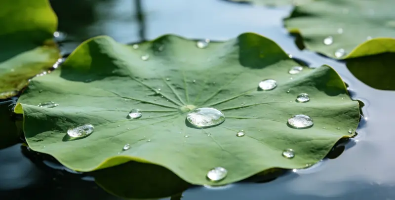 庆阳乳腺癌21基因mRNA表达分析图片1